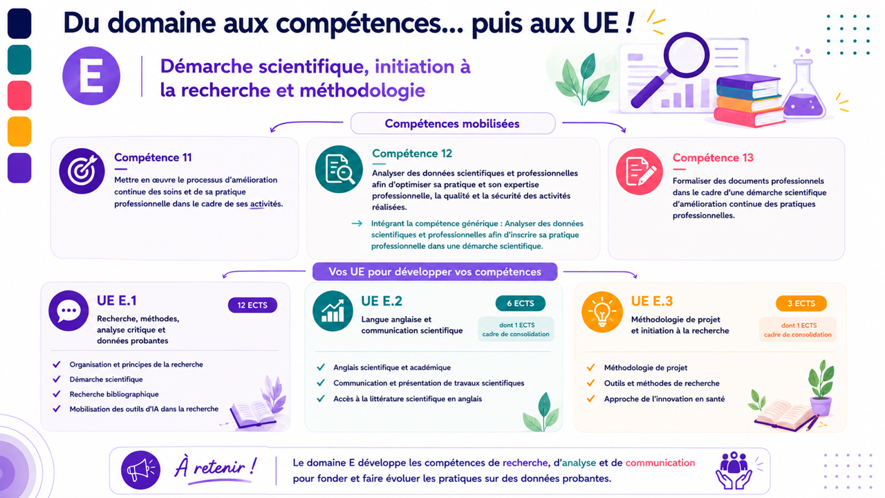 Infographie domaine E